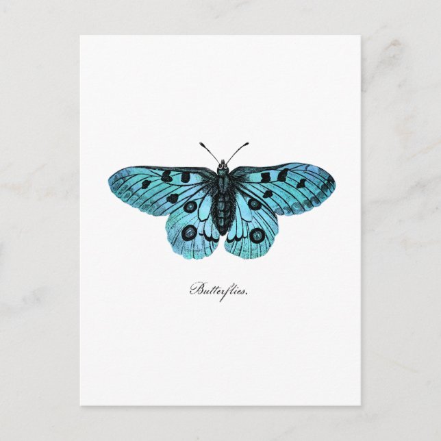 Vintage Aquamarine Blauer Schmetterling-Illustrati Postkarte (Vorderseite)