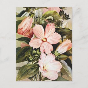 Vintage-Aquarell-Rosen-Malve Wildblumen  Postkarte