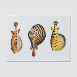 Vintage Aquarellfarbe Fische vor weißem Hintergrun Seidenpapier