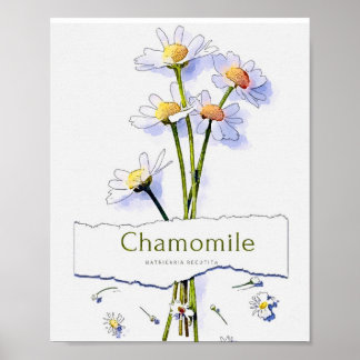 Vintage Aquarellmalerei Poster
