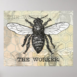 Vintage Arbeiterbiene-Illustration Poster