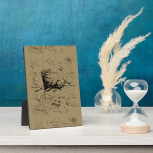 Vintage Aries Constellation Map Hevelius 1690 Fotoplatte