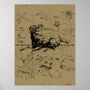 Vintage Aries Map Hevelius 1690 Poster