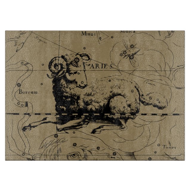 Vintage Aries Map Hevelius 1690 Schneidebrett (Vorderseite)