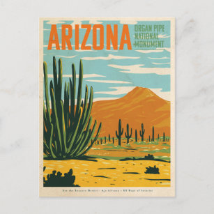 Vintage Arizona Desert Cactus  Postkarte