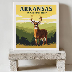 Vintage Arkansas Fliese
