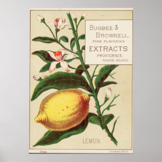Vintage-Aroma-Extrakt-Werbeplakat Poster