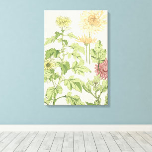 Vintage Art Nouveau, Chrysanthemen in einem Garten Leinwanddruck