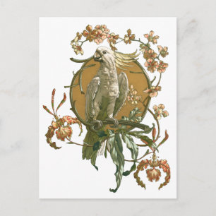 Vintage Art Nouveau, Cockatoo Bird, Orchid Flowers Postkarte