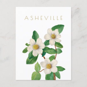 Vintage Asheville Blumen Reise Mitte des Jahrhunde Postkarte