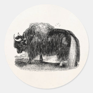 Vintage-Asiatischer-Yak-Retro-Yaks-Tierillustratio Runder Aufkleber