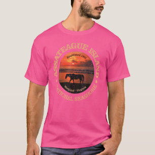 Vintage Assateague Island National Seashore Straße T-Shirt