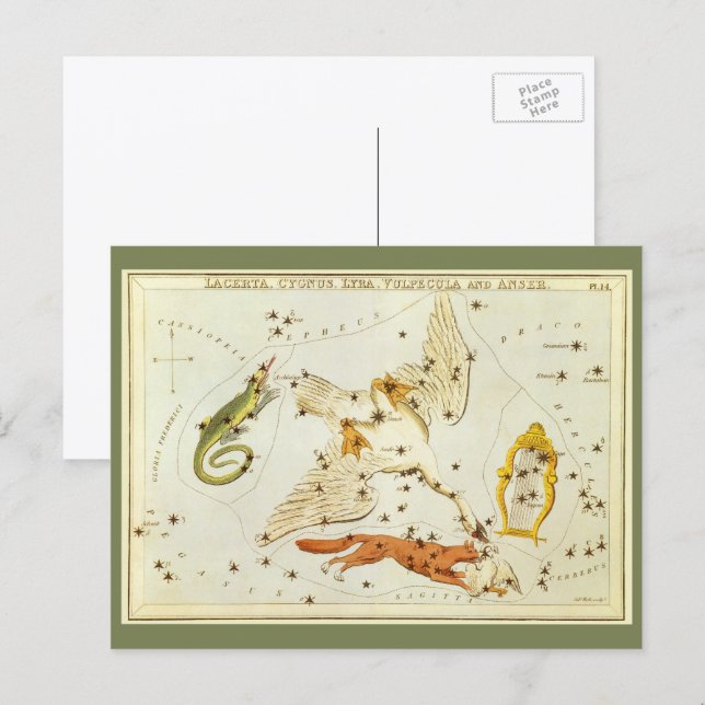 Vintage Astronomie, Sternbilder Postkarte (Vorne/Hinten)