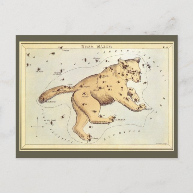 Vintage Astronomie, Ursa Großkonstellation, Bär Postkarte (Vorderseite)