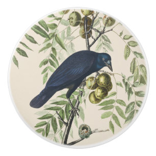 Vintage Audubon Amerikanische Krähe Vogel Natur Ku Keramikknauf