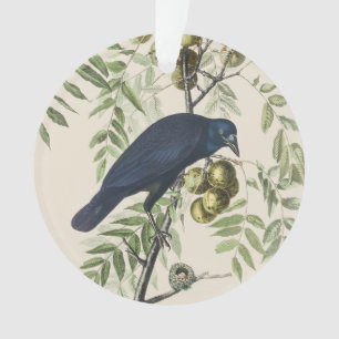 Vintage Audubon Amerikanische Krähe Vogel Natur Ku Ornament