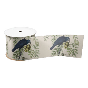 Vintage Audubon Amerikanische Krähe Vogel Natur Ku Satinband