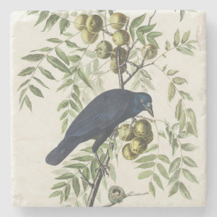 Vintage Audubon Amerikanische Krähe Vogel Natur Ku Steinuntersetzer