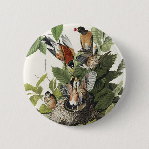 Vintage-Audubon-Amerikanische-Rotdrossel-Vogelnest Button