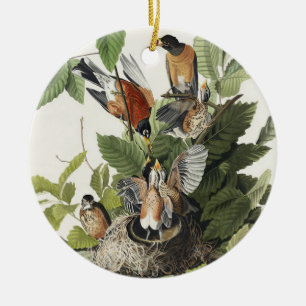 Vintage Audubon Amerikanische Rotdrossel Vogelnest Keramik Ornament