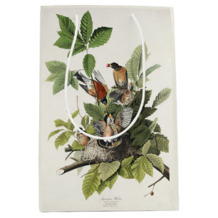 Vintage Audubon Amerikanische Rotdrossel Vogelnest Mittlere Geschenktüte