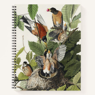 Vintage-Audubon-Amerikanische-Rotdrossel-Vogelnest Notizbuch