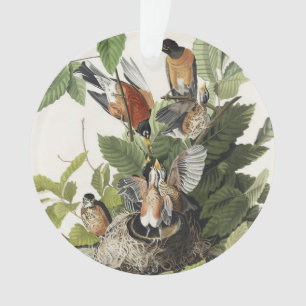 Vintage-Audubon-Amerikanische-Rotdrossel-Vogelnest Ornament