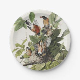 Vintage Audubon Amerikanische Rotdrossel Vogelnest Pappteller