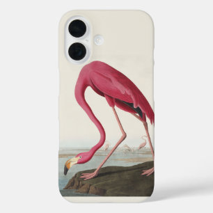 Vintage Audubon Amerikanischer Flamingo Rosa Vogel iPhone 16 Hülle