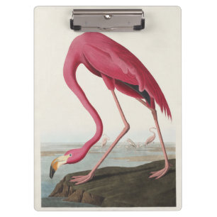 Vintage Audubon Amerikanischer Flamingo Rosa Vogel Klemmbrett