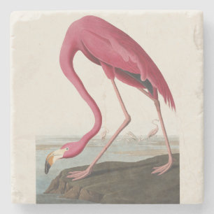 Vintage Audubon Amerikanischer Flamingo Rosa Vogel Steinuntersetzer