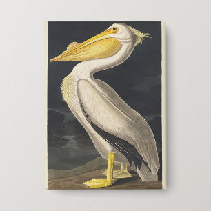 Vintage Audubon Amerikanischer Weißer Pelikan Voge Button