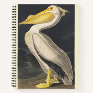 Vintage Audubon Amerikanischer Weißer Pelikan Voge Notizbuch