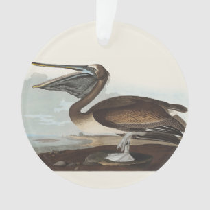 Vintage Audubon Brauner Pelikan Küsten-Vogel-Kunst Ornament