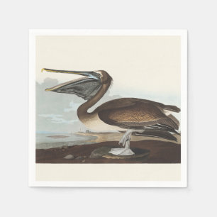 Vintage Audubon Brauner Pelikan Küsten-Vogel-Kunst Serviette