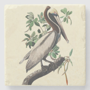 Vintage Audubon Brauner Pelikan Küsten-Vogel-Kunst Steinuntersetzer