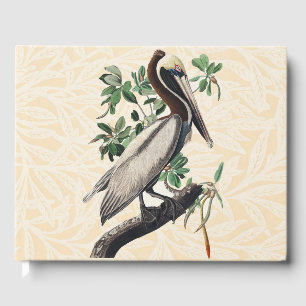 Vintage Audubon Brauner Pelikan Küsten-Vogelkunst Gästebuch