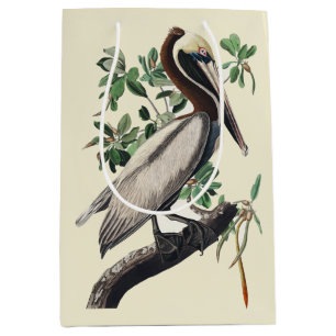 Vintage Audubon Brauner Pelikan Küsten-Vogelkunst Mittlere Geschenktüte