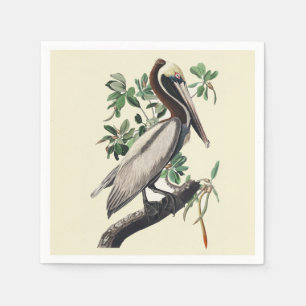Vintage Audubon Brauner Pelikan Küsten-Vogelkunst Serviette