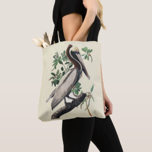 Vintage-Audubon-Braunpelikan-Küsten-Vogelkunst