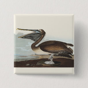 Vintage-Audubon-Braunpelikan-Küsten-Vogelkunst Button