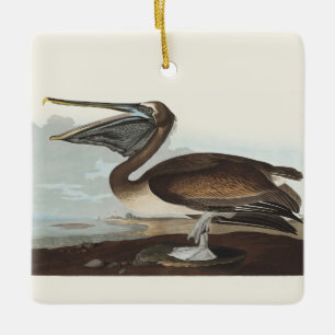 Vintage-Audubon-Braunpelikan-Küsten-Vogelkunst Keramikornament
