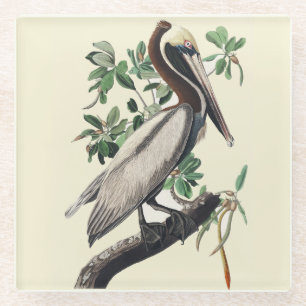 Vintage-Audubon-Braunpelikan-Küstenvogel-Kunst Glasuntersetzer