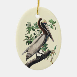 Vintage-Audubon-Braunpelikan-Küstenvogel-Kunst Keramik Ornament