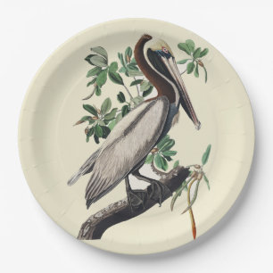 Vintage-Audubon-Braunpelikan-Küstenvogel-Kunst Pappteller