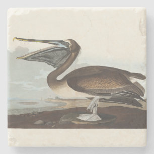 Vintage-Audubon-Braunpelikan-Küstenvogel-Kunst Steinuntersetzer