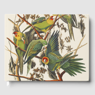 Vintage Audubon Carolina-Sittich-Vogelkunst Gästebuch
