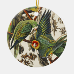 Vintage Audubon Carolina-Sittich-Vogelkunst Keramik Ornament