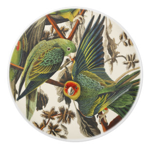 Vintage Audubon Carolina-Sittich-Vogelkunst Keramikknauf