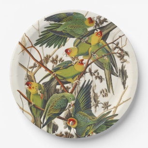 Vintage Audubon Carolina-Sittich-Vogelkunst Pappteller